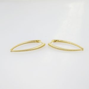 14k Gold Plated Steel Earring – EA096