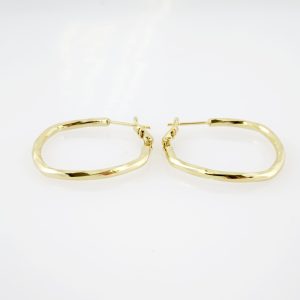 14k Gold Plated Steel Earring – EA058