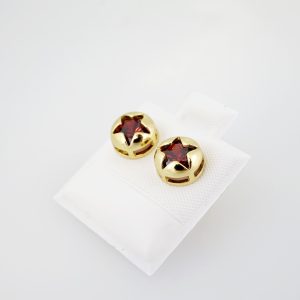 14k Gold Plated Steel Earring – EA0042