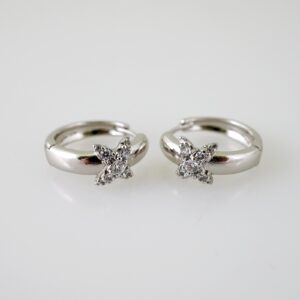 E2342 Earrings  Aretes  Zircon Stone  Silver Color