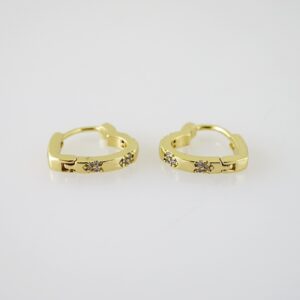 E2434 Earrings  Aretes  Zircon Stone  14K Real Color