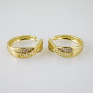 E2458 Earrings  Aretes  Zircon Stone  14K Real Color