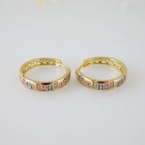 E2463 Earrings  Aretes  Three Tone   Zircon Stone