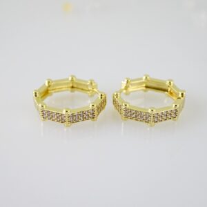 E2479 Earrings  Aretes  Zircon Stone  14K Real Color